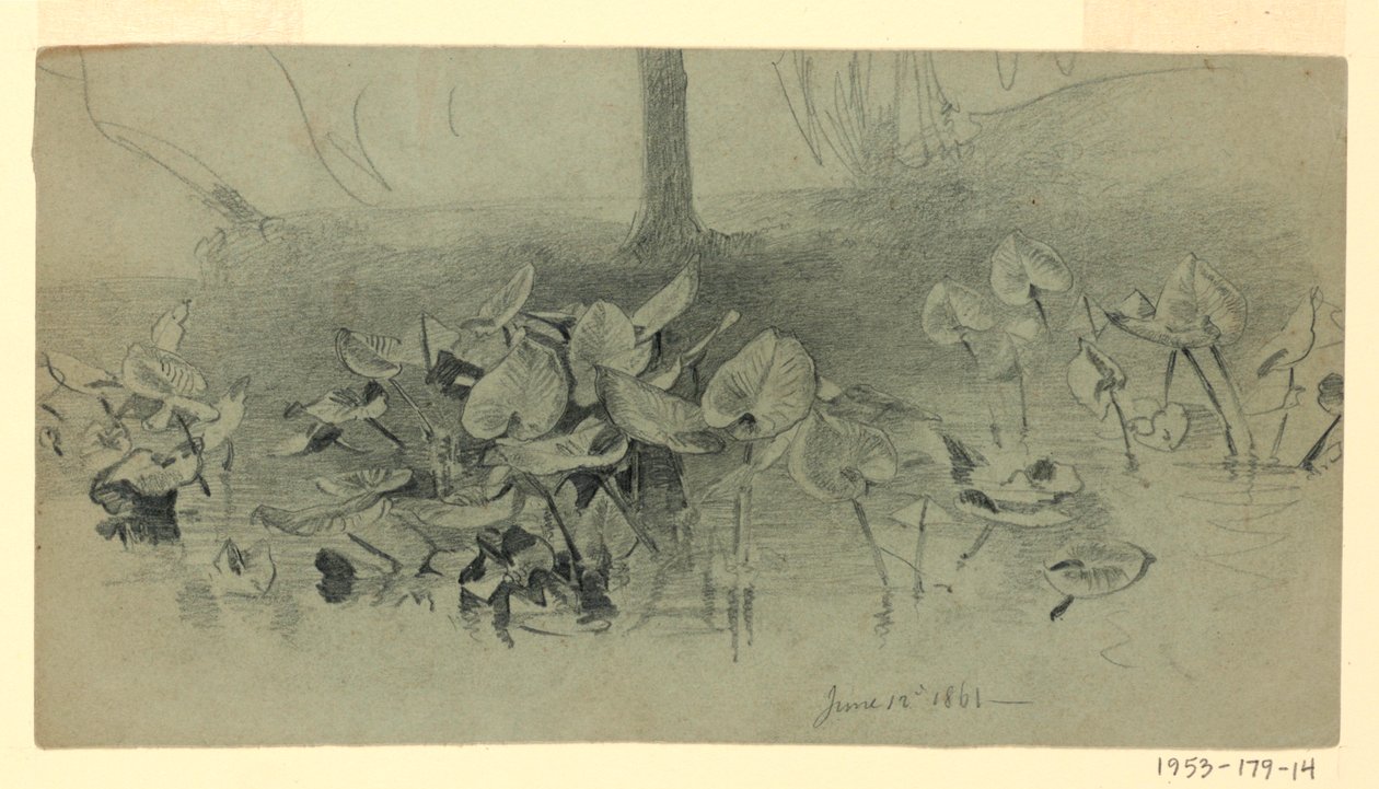 Studio del fogliame da William Trost Richards