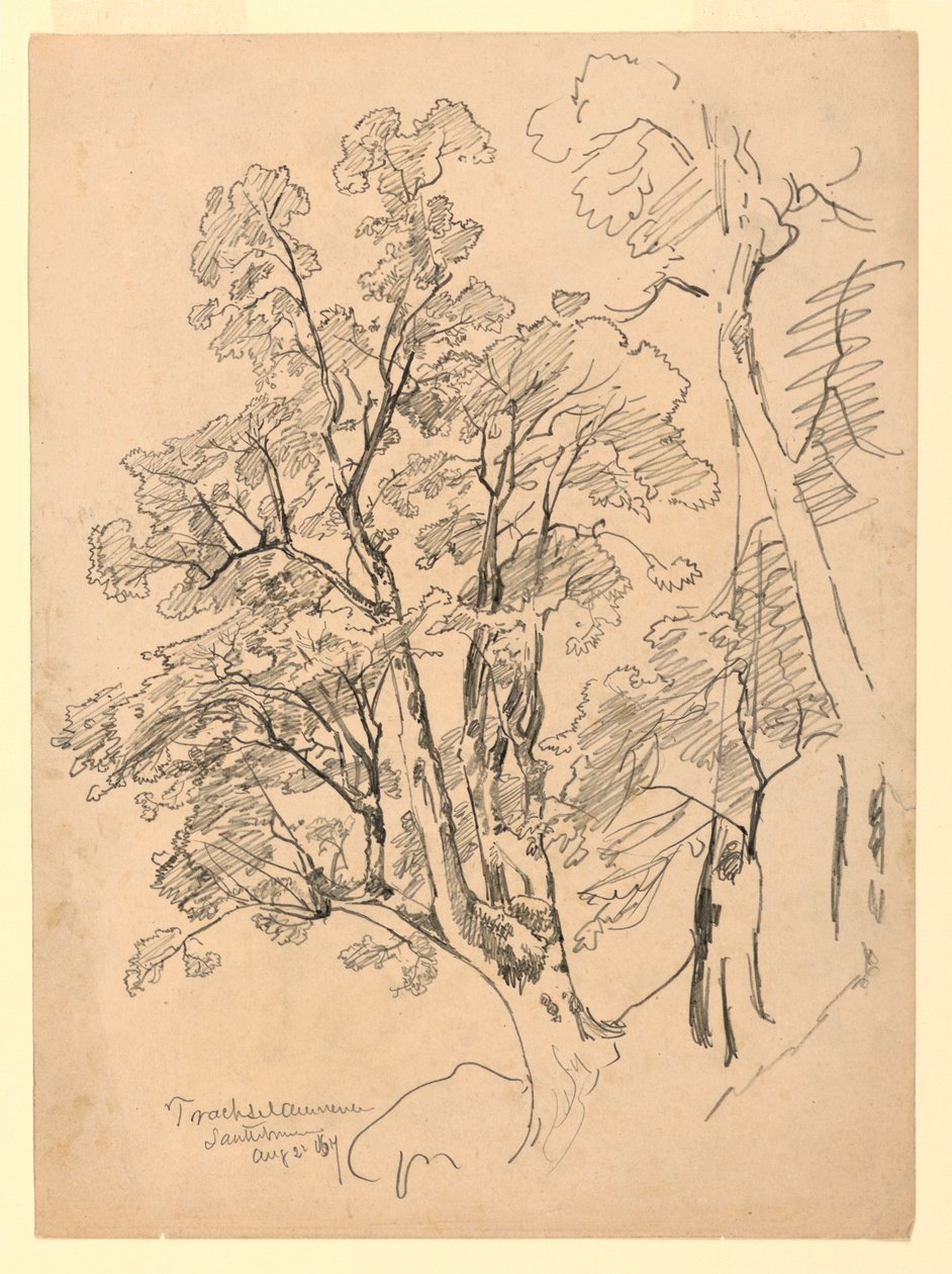 Studio di fogliame, Trachselwald, Berna, Svizzera da William Trost Richards