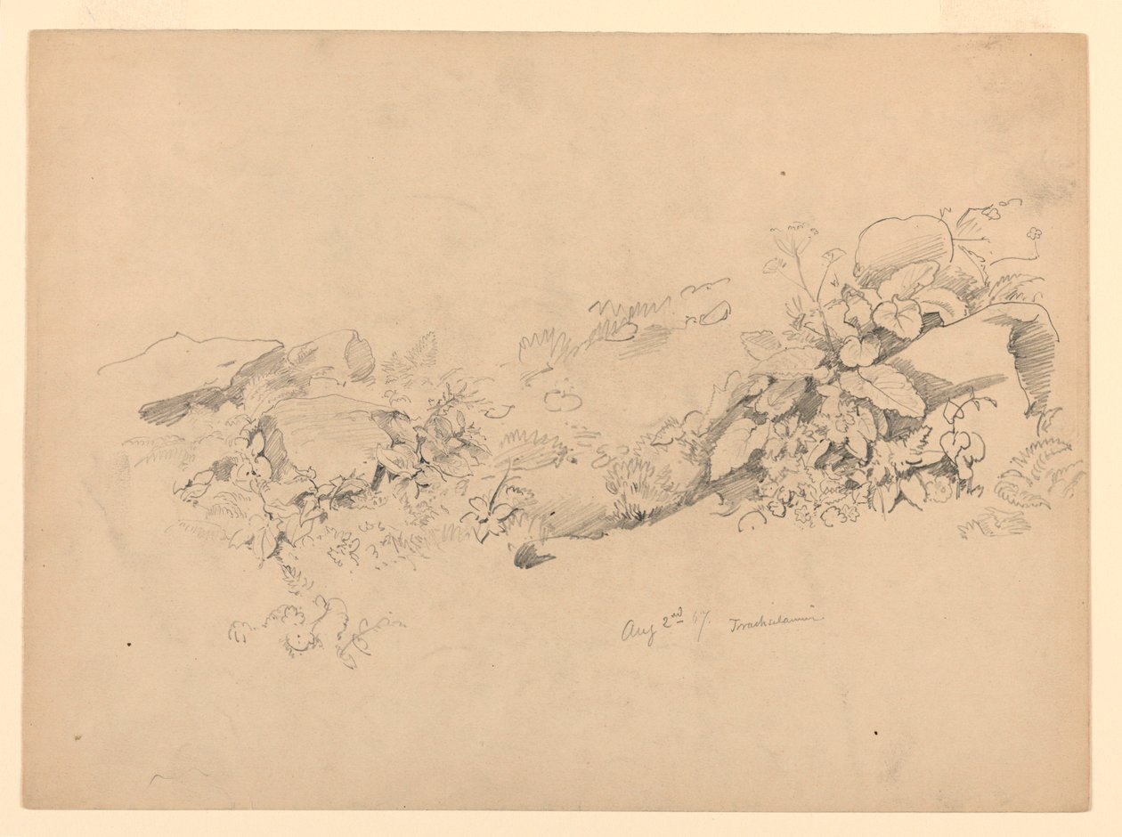 Studio del Fogliame, Trachselwald, Berna, Svizzera da William Trost Richards