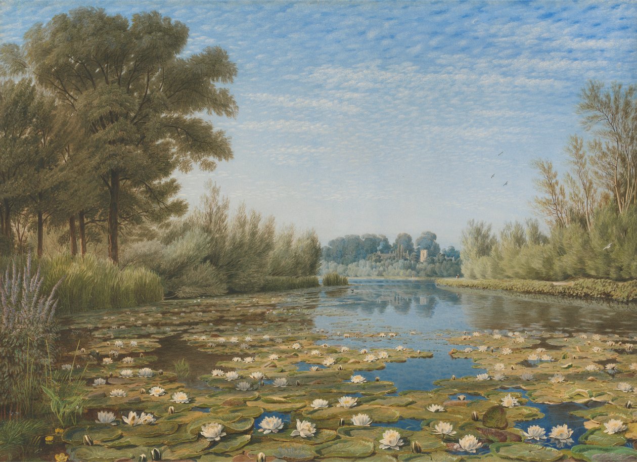 Scena vicino a Shipton on Cherwell, Oxfordshire da William Turner of Oxford