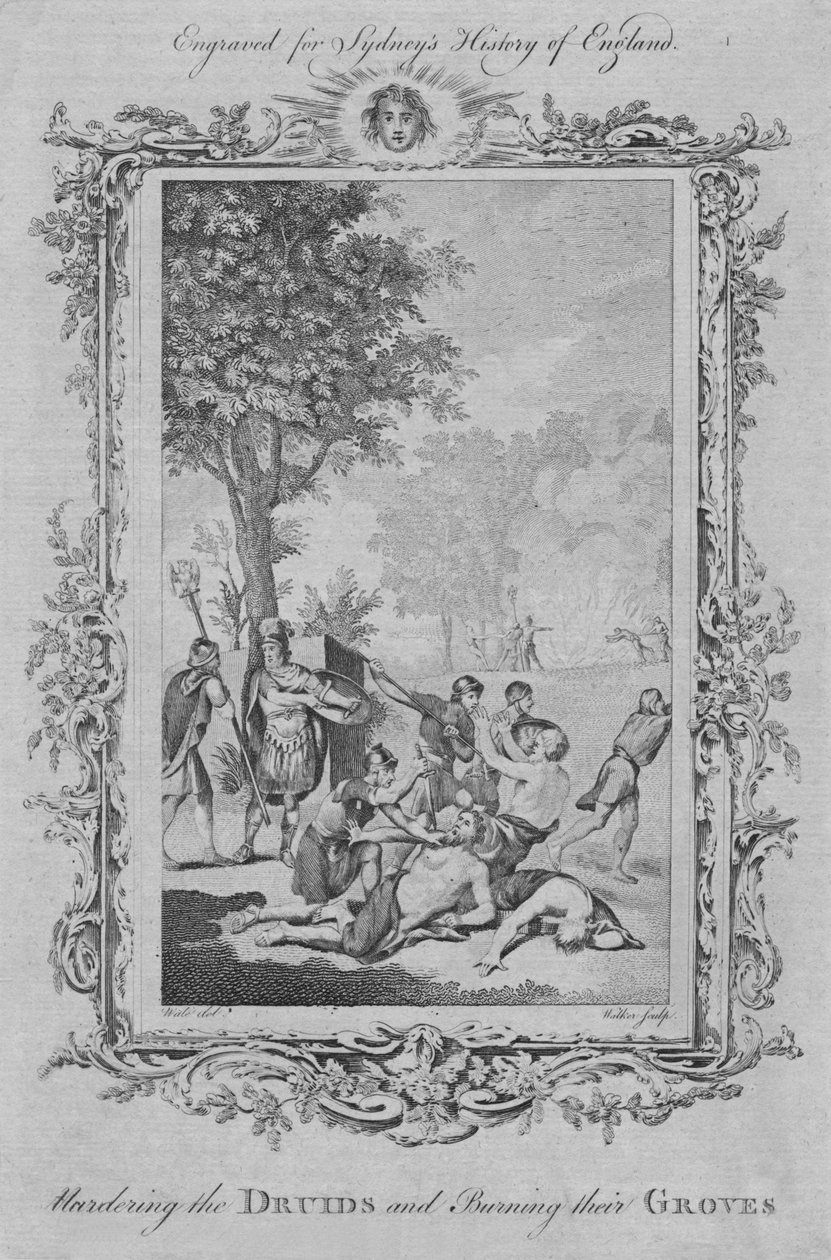 Uccisione dei druidi e bruciatura dei loro boschetti, 1773 da William Walker
