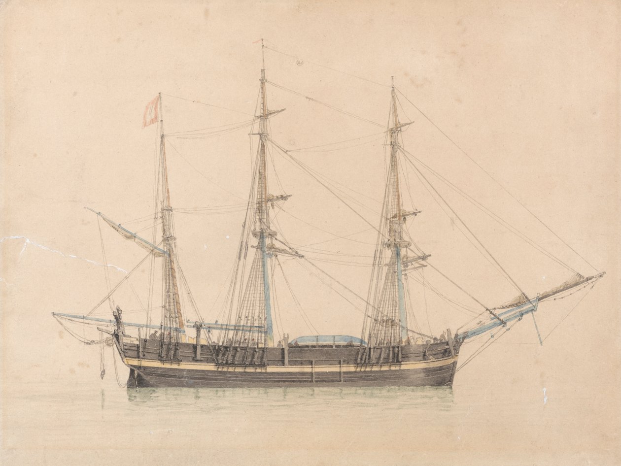 La baleniera "Truelove" di Hull da William Ward