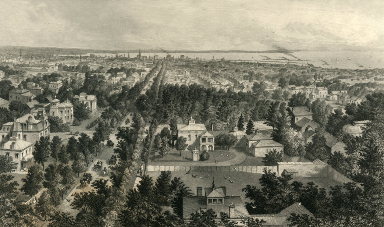 Città di Buffalo da William Wellstood