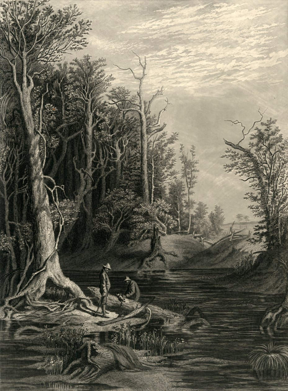 Il Chickahominy, 1872 da William Wellstood