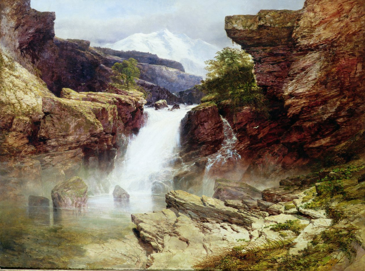 Immagine sconosciuta da William West