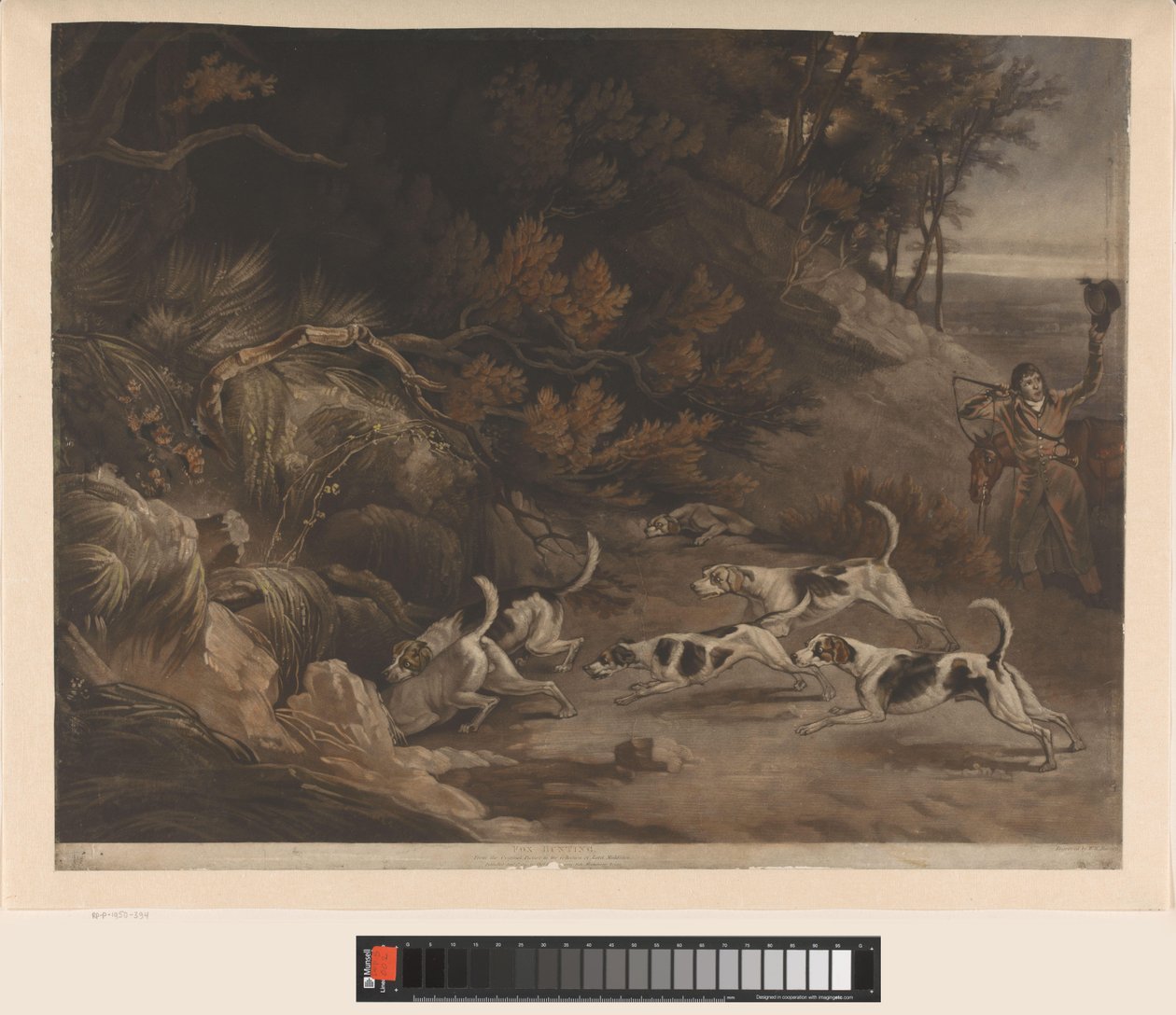 Cacciatore e cani da caccia alla caccia alla volpe da William Whiston Barney