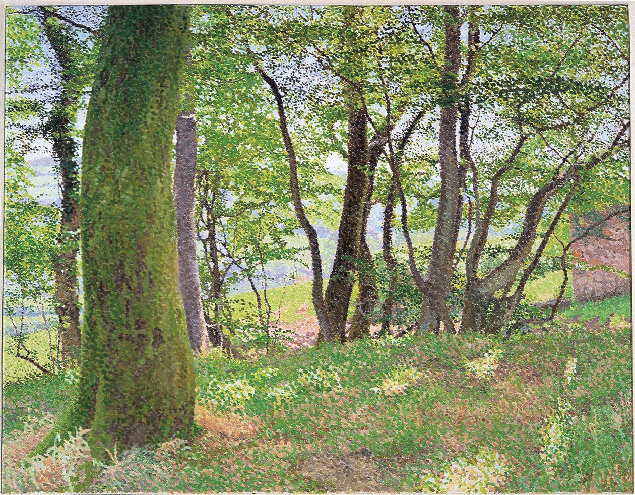 Pomeriggio nel Carmarthenshire da William Wilkins