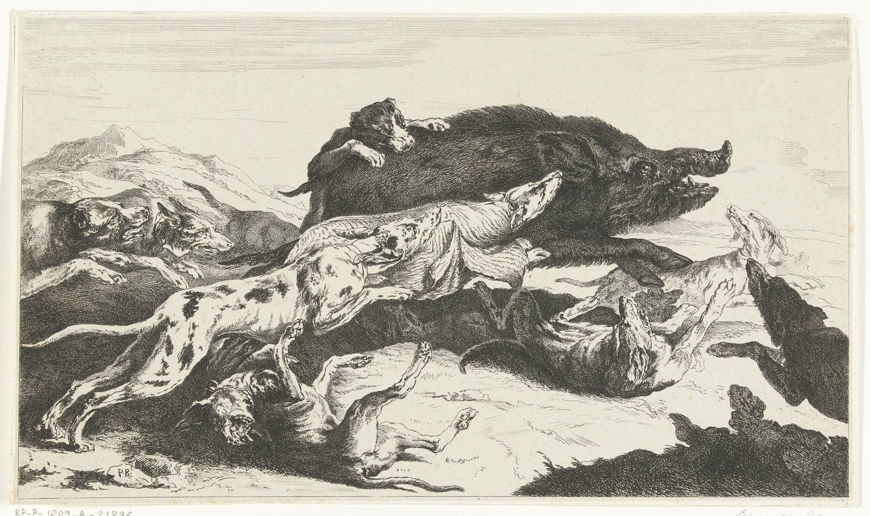 Cani che cacciano un cinghiale da William Young Ottley