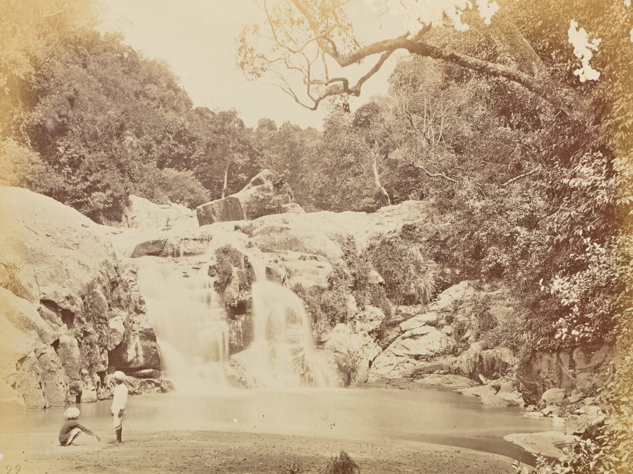 [Cascata] da Willoughby Wallace Hooper