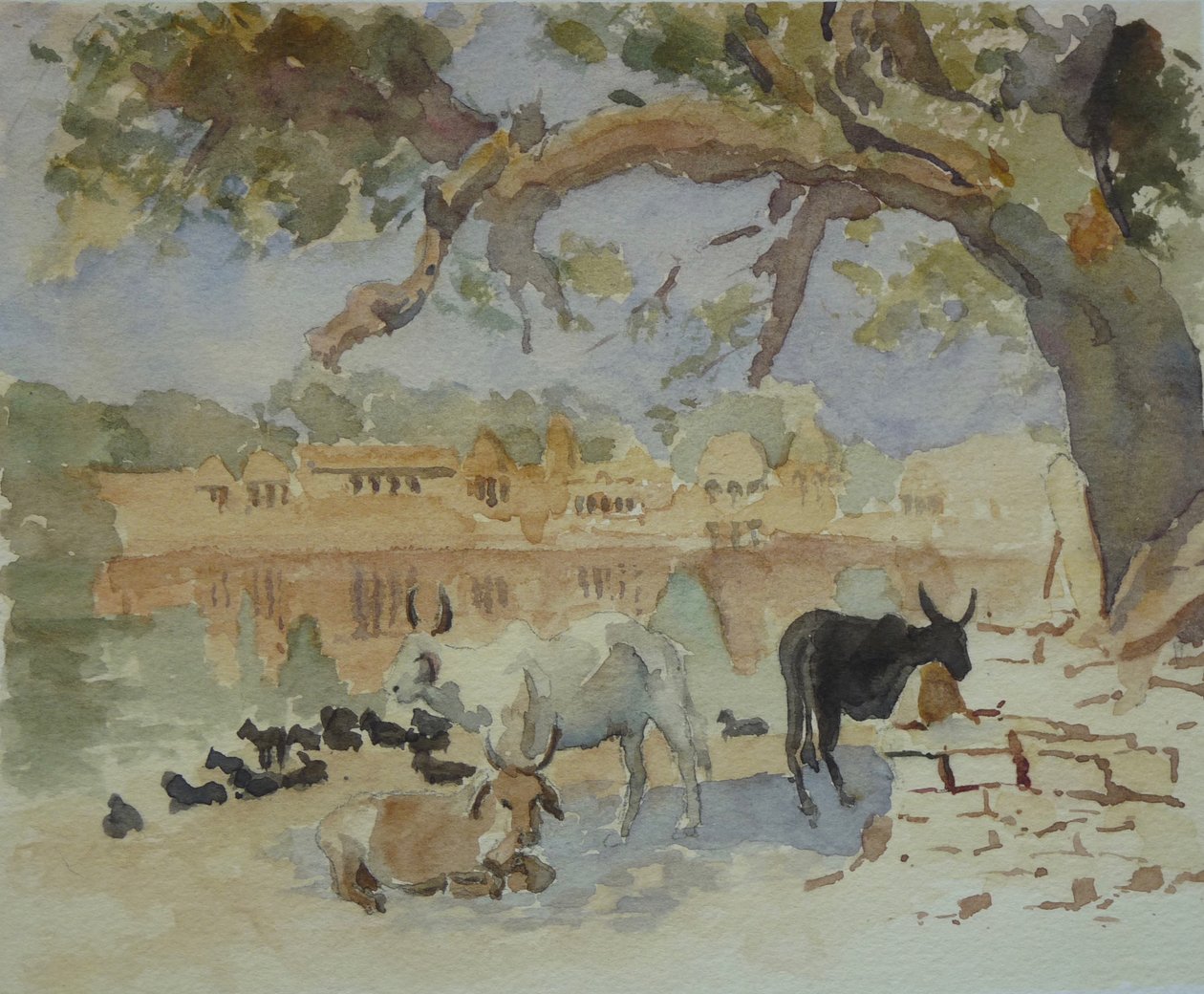 435A Jaisalmer - Gadi Sagar (schizzo) da Wilson Clive