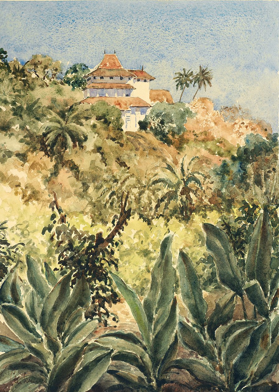 Lankatilaka dal giardino dei peperoni da Wilson Clive