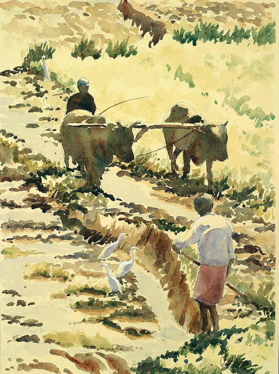 753 Preparazione del campo di riso da Wilson Clive
