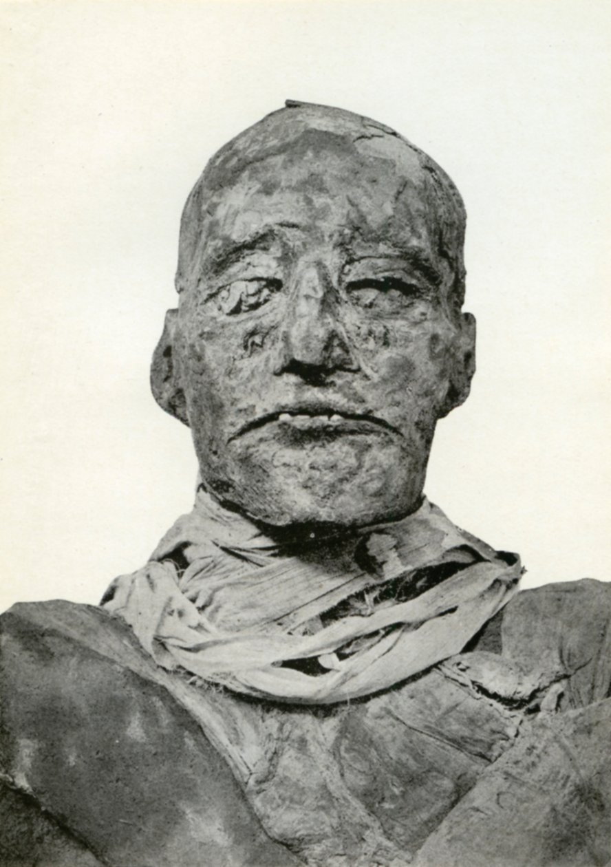 Testa della mummia di Ramesse III, faraone egizio della XX dinastia, c1156 a.C. 1926 da Winifred Mabel Brunton