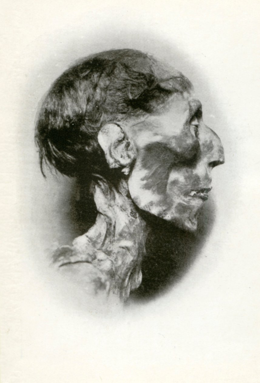 Testa della mummia di Ramesse II, antico faraone egizio della XIX dinastia, c1212 a.C. 1926 da Winifred Mabel Brunton