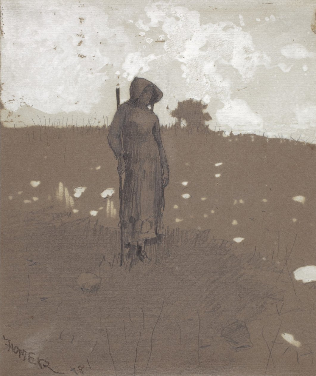Nel campo da Winslow Homer
