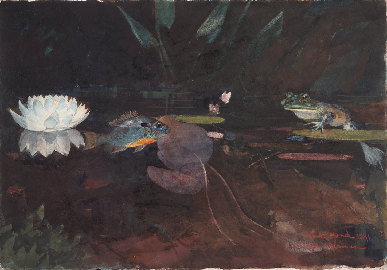 Stagno di visoni da Winslow Homer