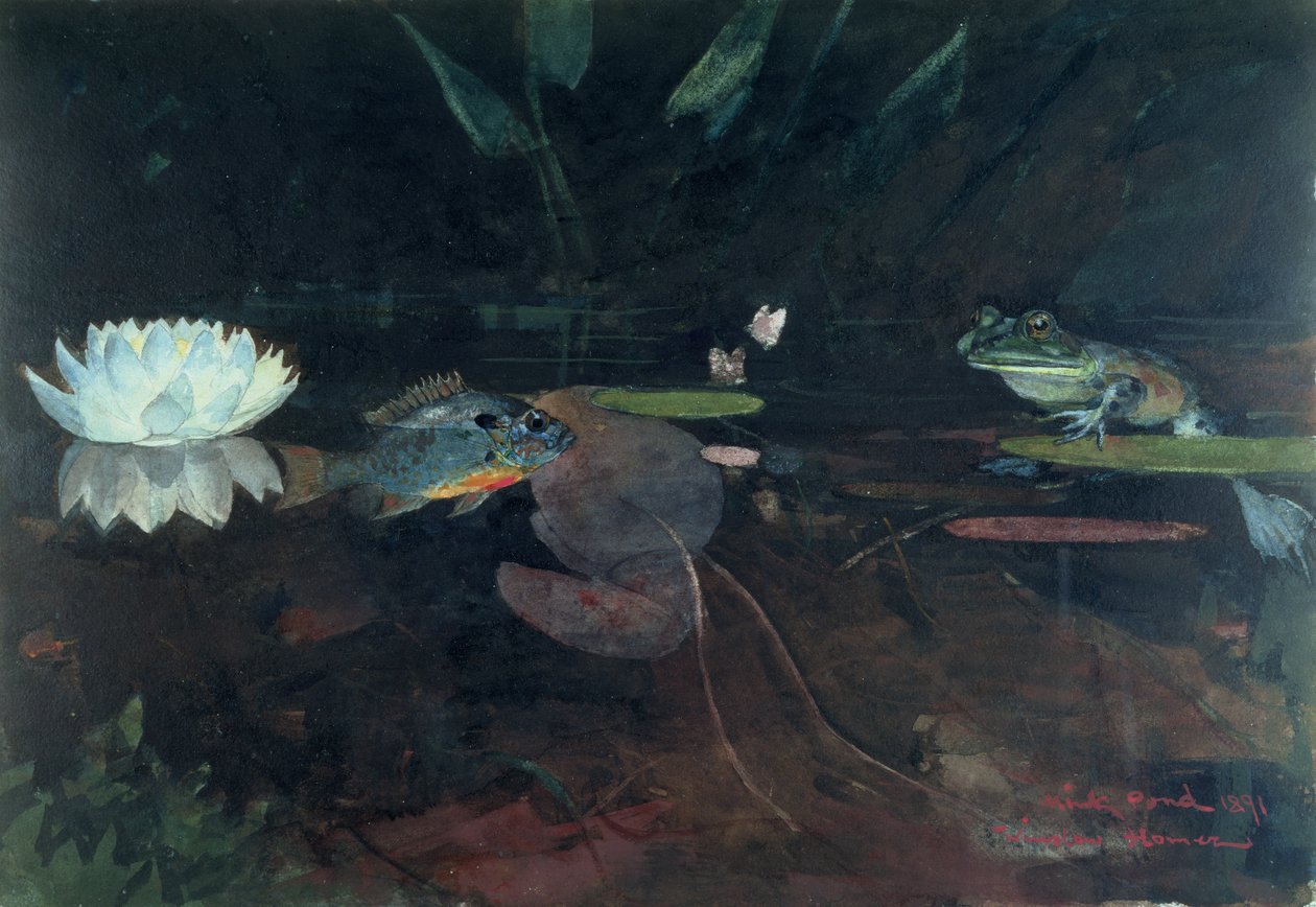 Stagno di visoni, 1891 da Winslow Homer