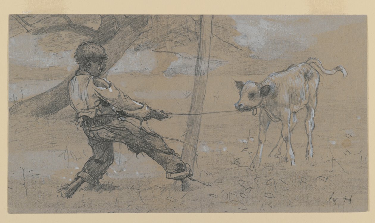 Il vitello indisciplinato da Winslow Homer