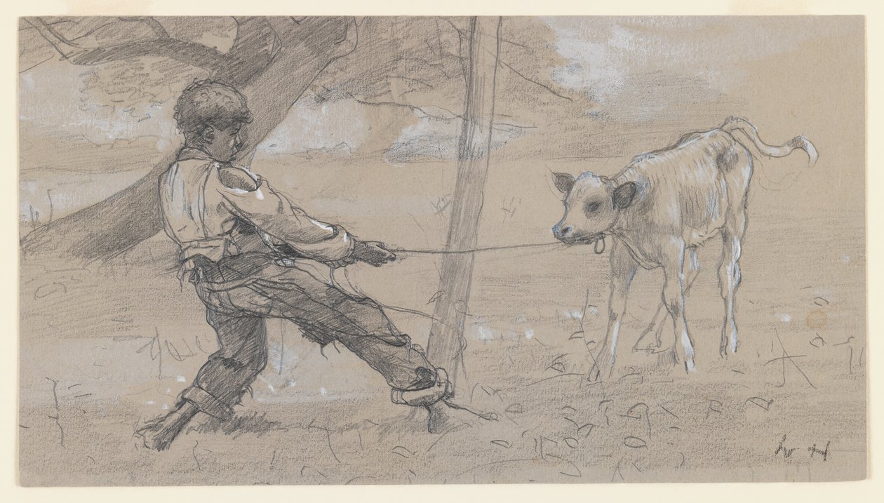 Il vitello indisciplinato, c.1875-76 da Winslow Homer