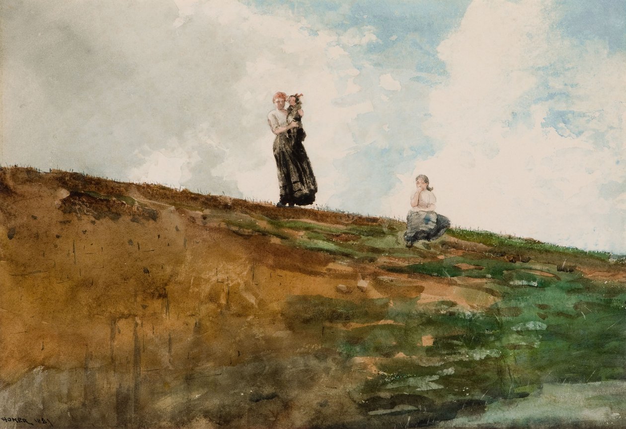 Guardando dalle scogliere da Winslow Homer