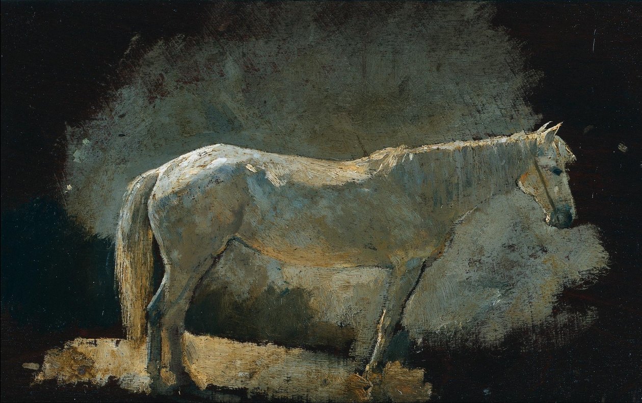 Cavalla bianca da Winslow Homer