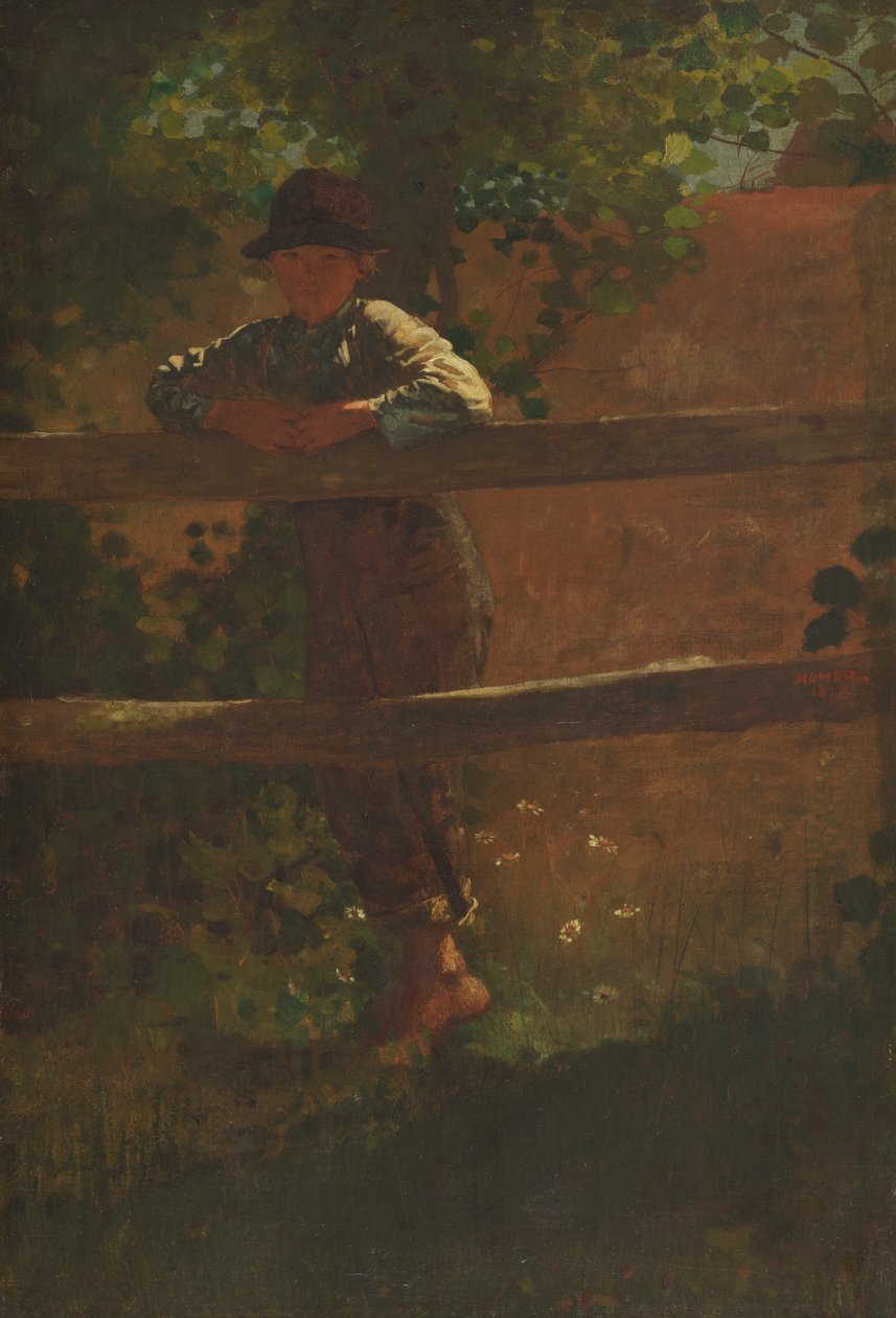 Un ragazzo di campagna da Winslow Homer
