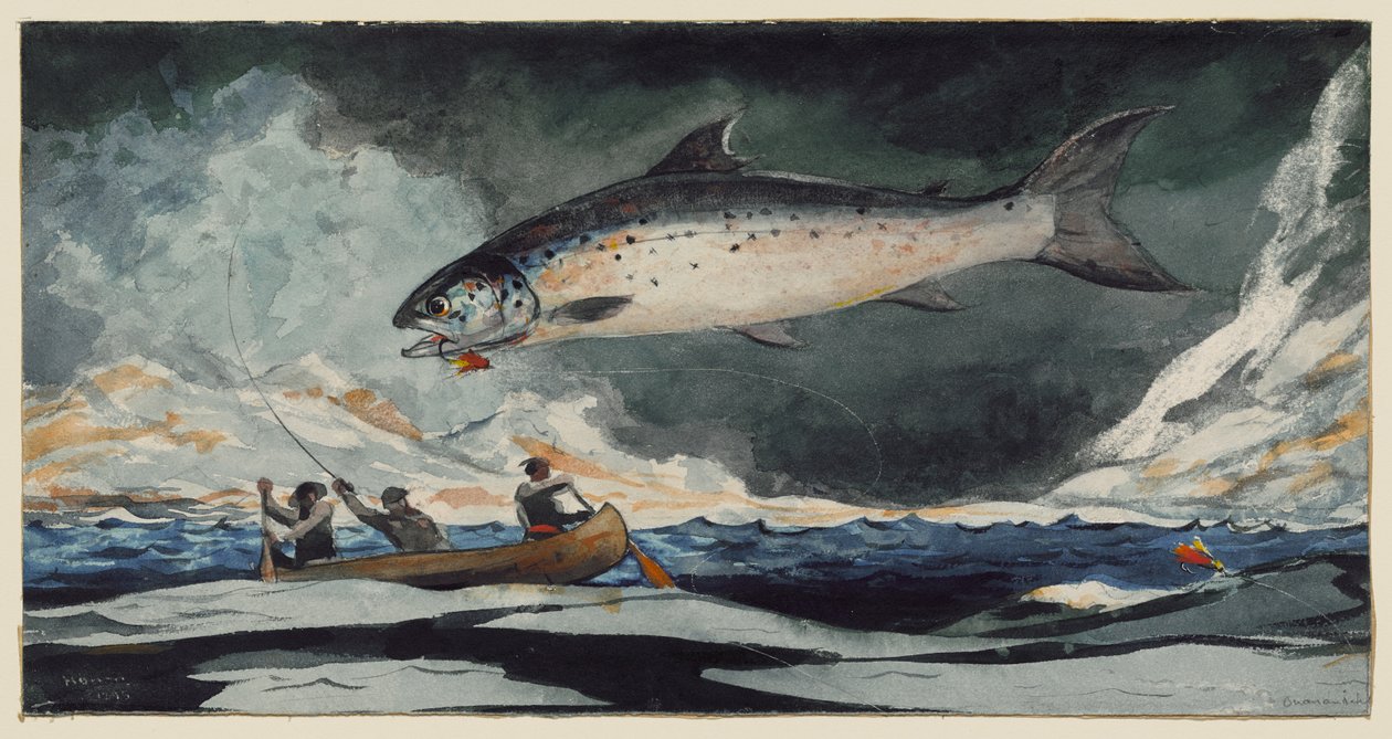 Una bella piscina, il fiume Saguenay da Winslow Homer