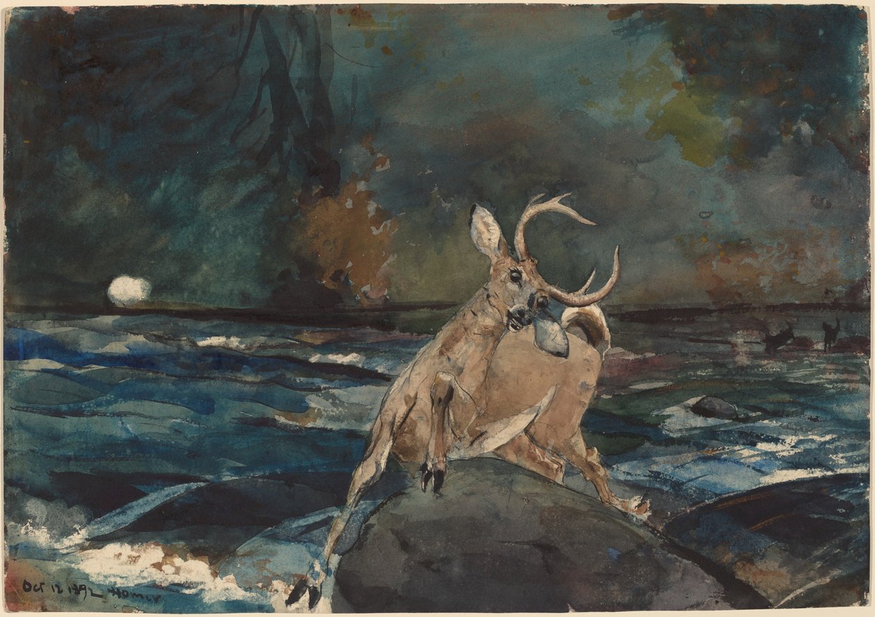 Un buon colpo, Adirondacks da Winslow Homer