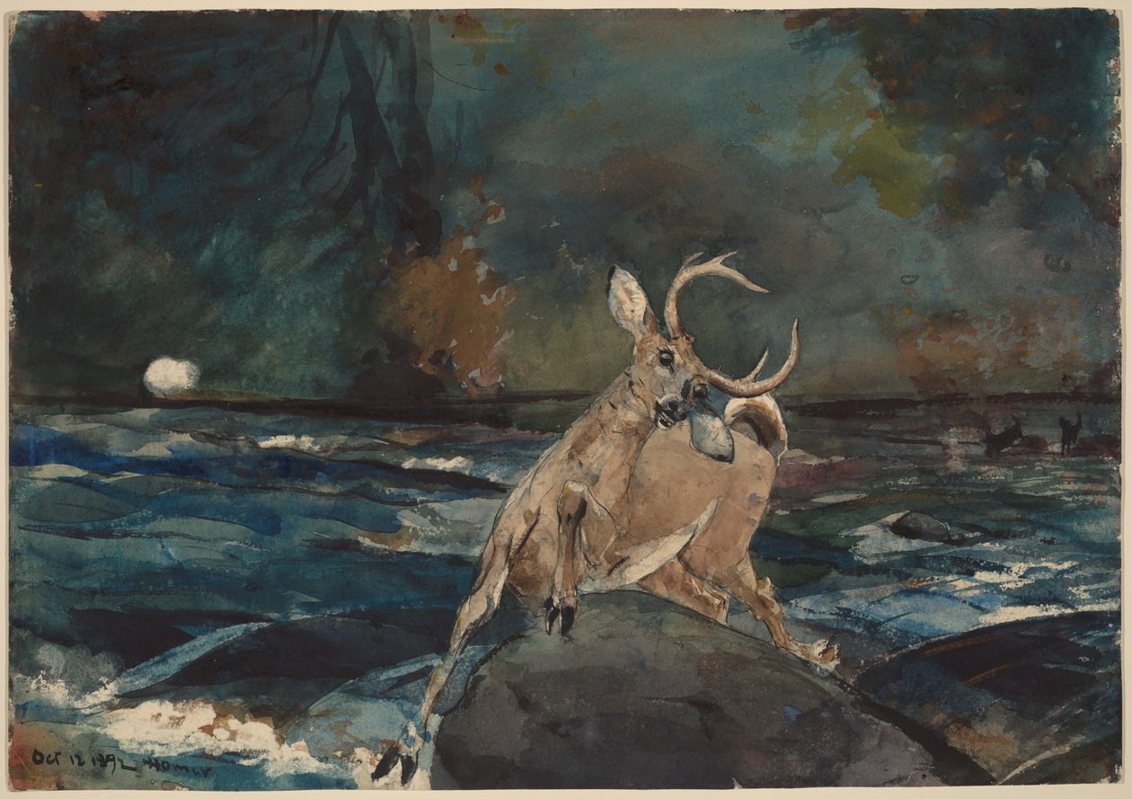 Un buon colpo, Adirondack da Winslow Homer