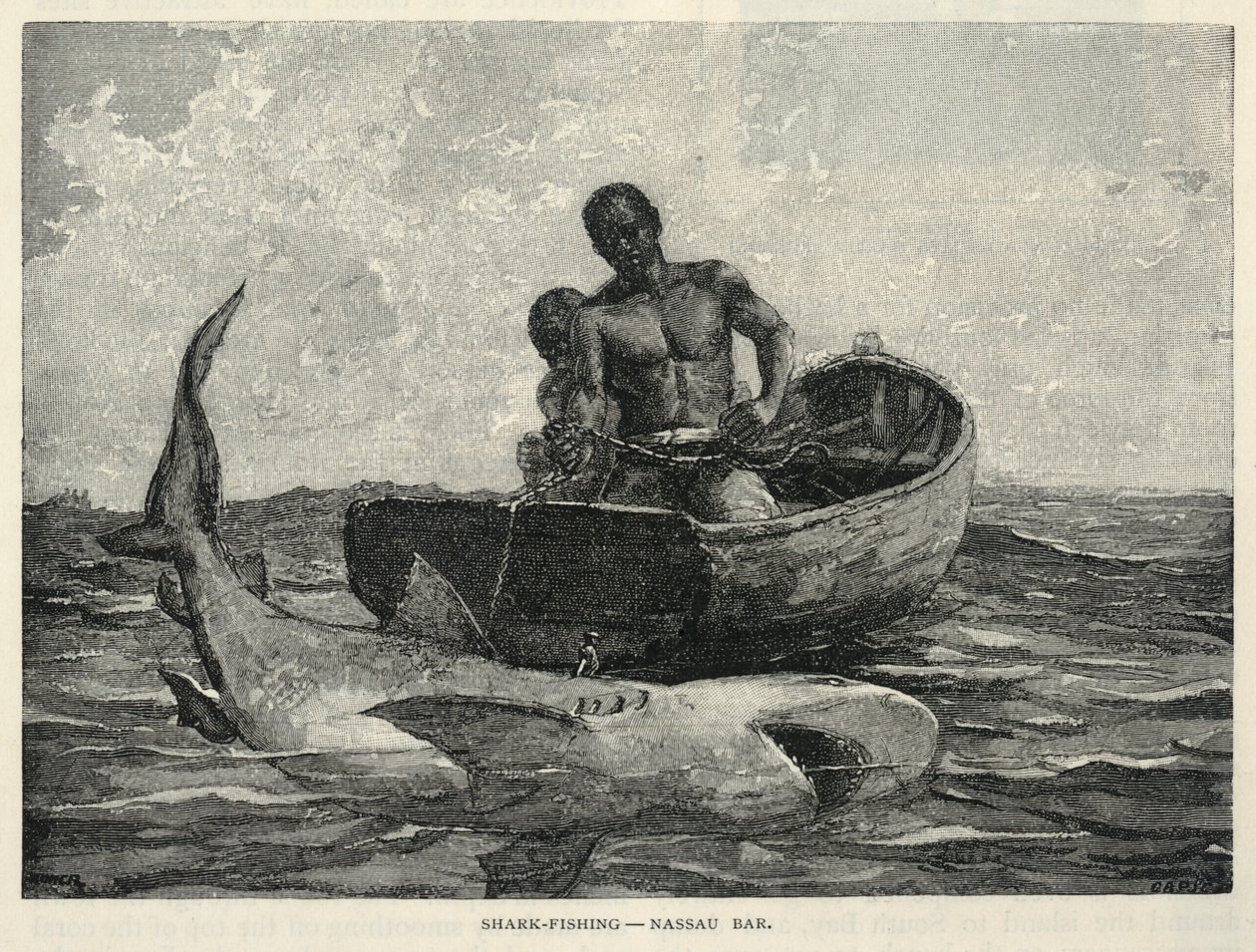 Un venditore ambulante, una porta di Nassau, la pesca degli squali - Nassau Bar, da The Century Magazine, febbraio 1887 da Winslow Homer