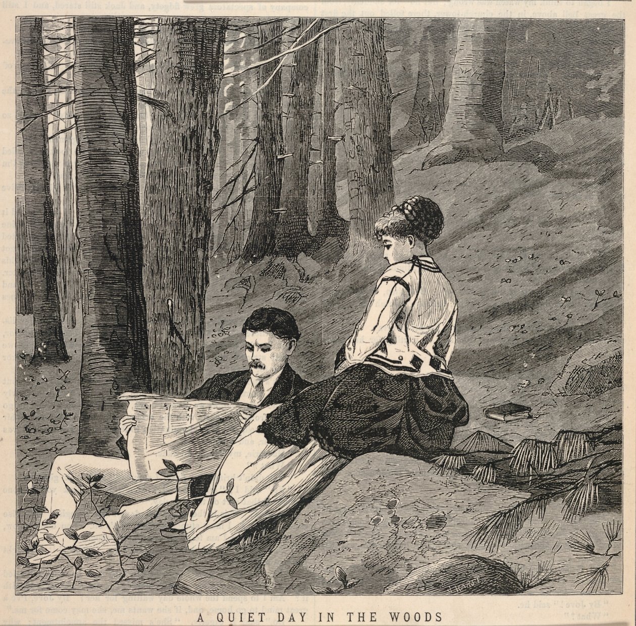 Una tranquilla giornata nel bosco, da Appletons