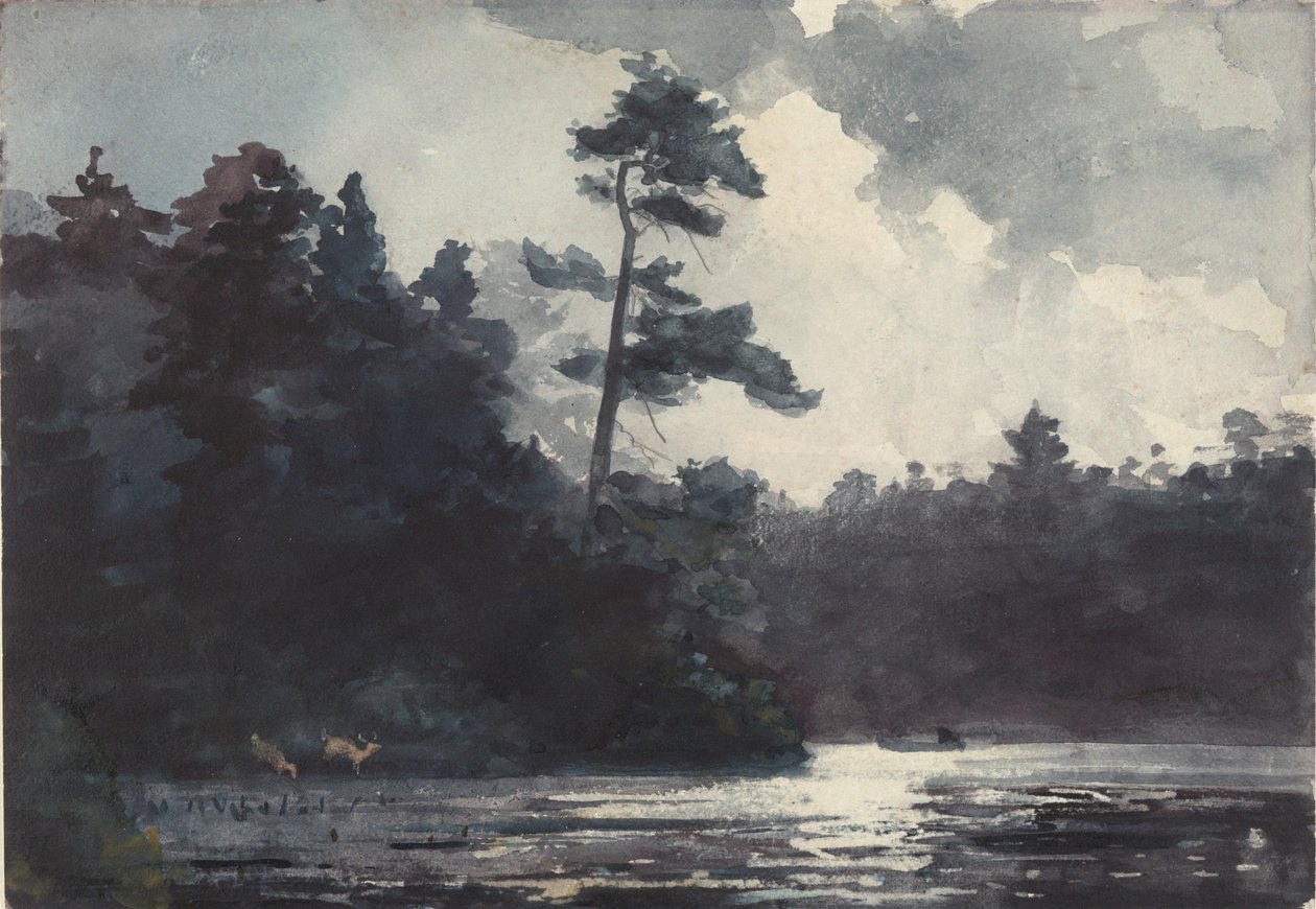 Lago Adirondack da Winslow Homer