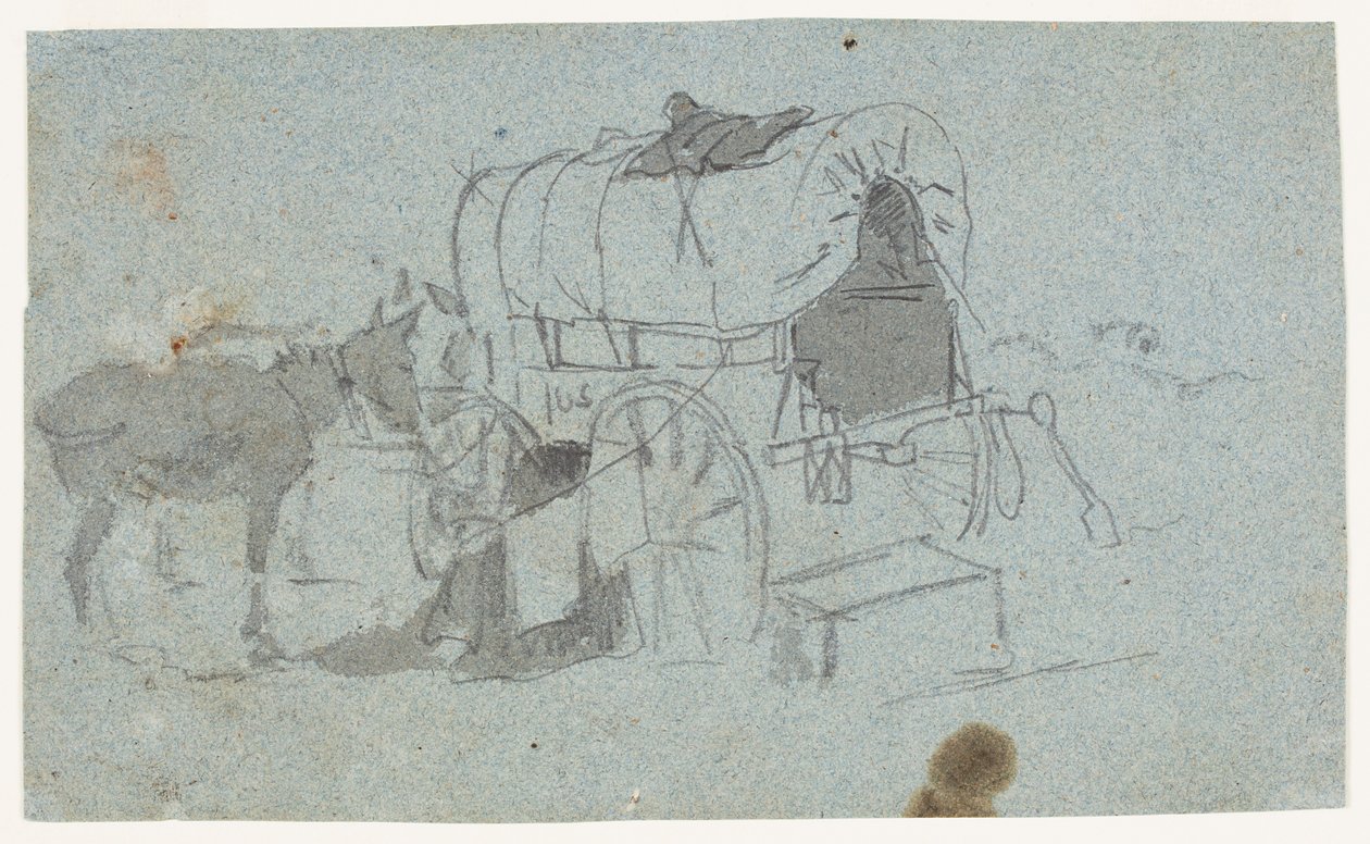 Carro dell