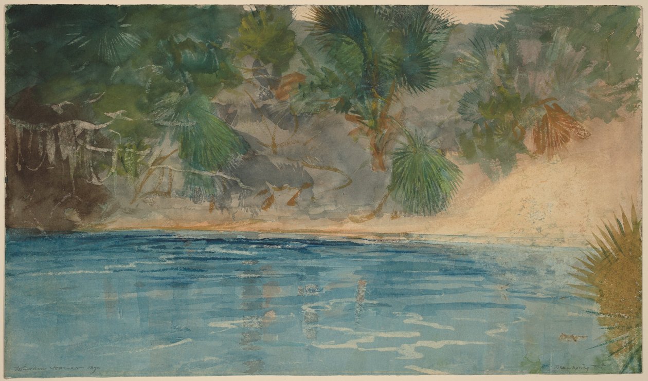 Blue Spring, Florida da Winslow Homer