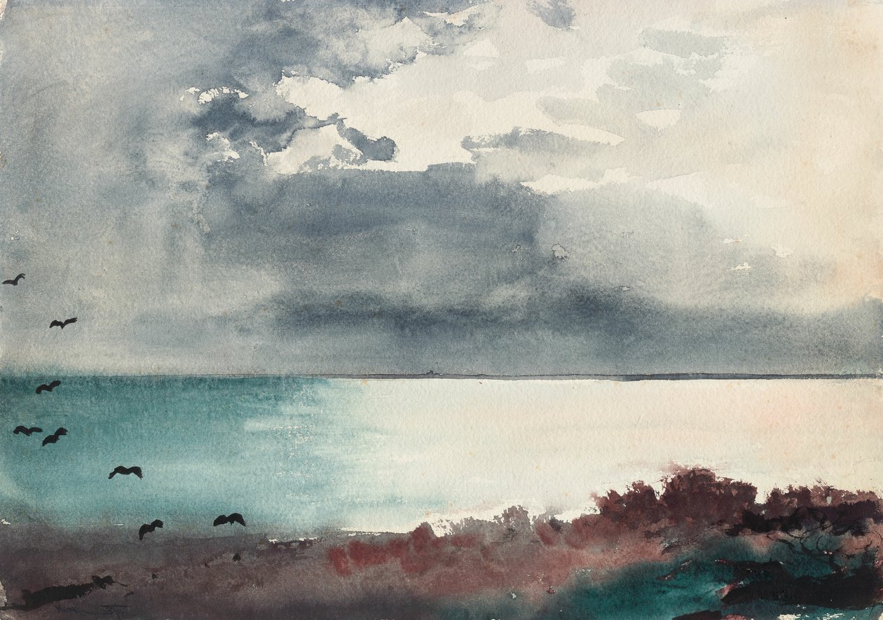 Tempesta in corso, costa del Maine da Winslow Homer