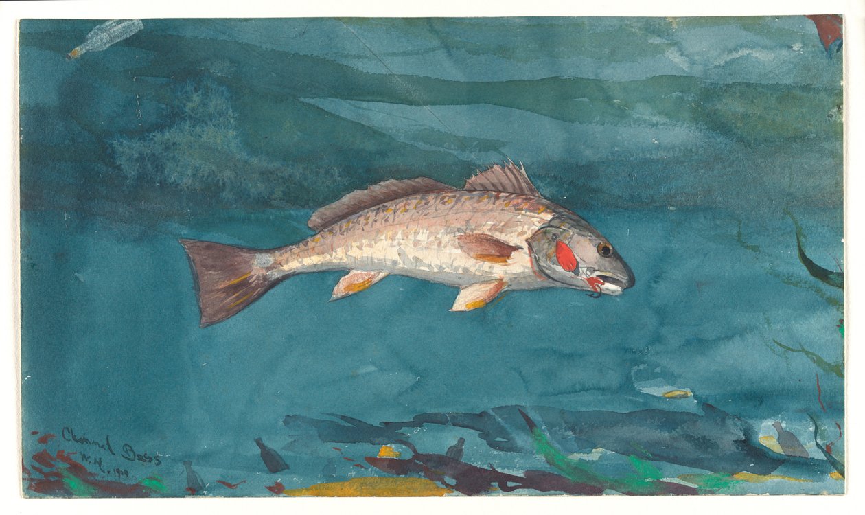 Channel Bass da Winslow Homer