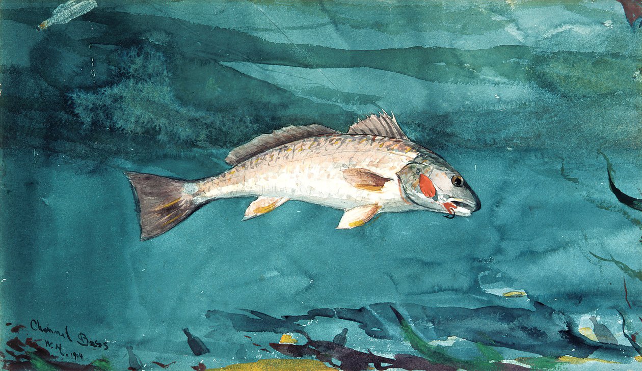 Basso canale, 1904 da Winslow Homer