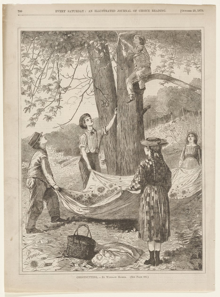 Raccolta di castagne da Winslow Homer