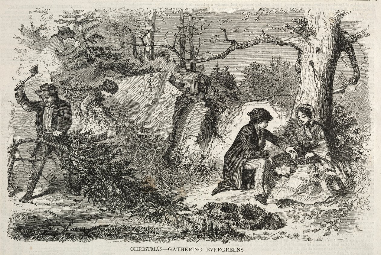 Natale - Raccolta di sempreverdi, 1858 da Winslow Homer