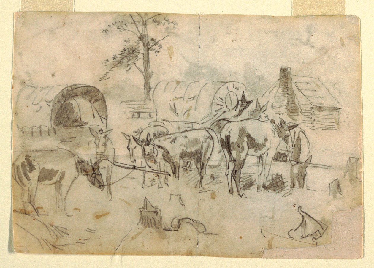 Disegno, muli a riposo legati ai carri, 1862 da Winslow Homer