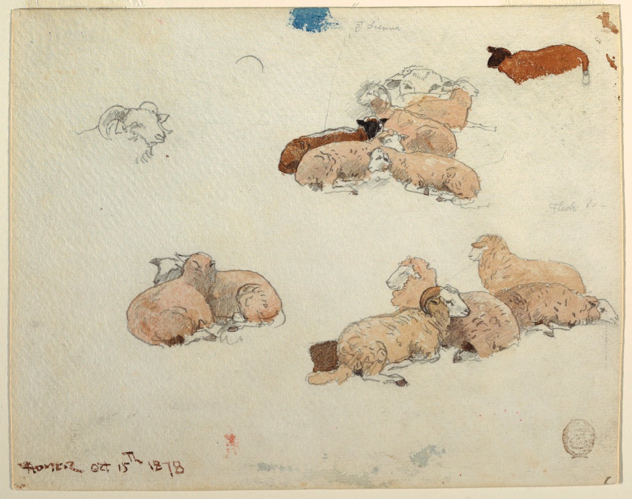 Disegno, pecore a riposo, 15 ottobre 1878 da Winslow Homer