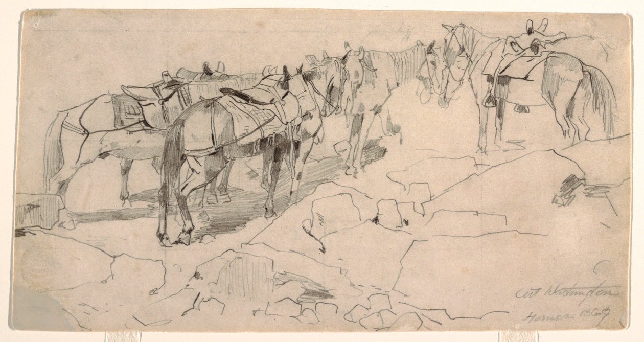 Disegno, studio per "Mount Washington" e "The Summit of Mt. Washington", 1869 da Winslow Homer