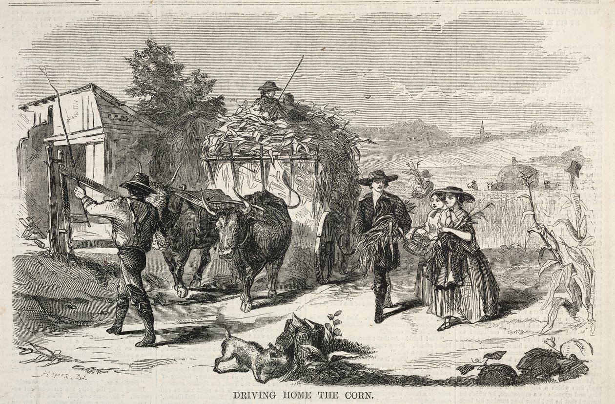 Portare a casa il grano da Winslow Homer