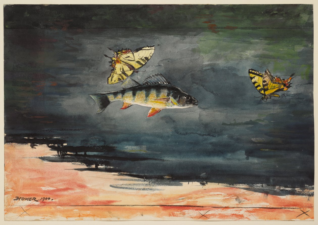 Pesci e farfalle da Winslow Homer