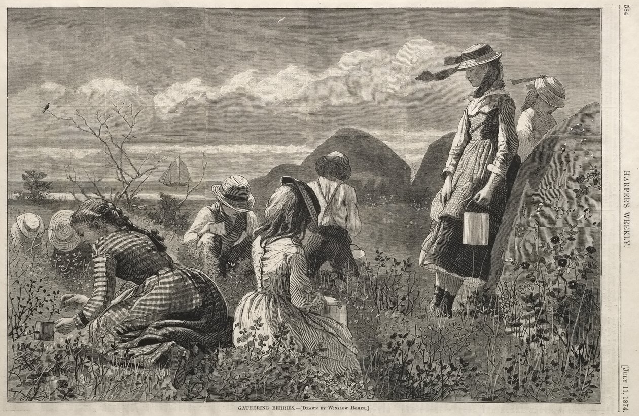 Raccolta di bacche da Winslow Homer