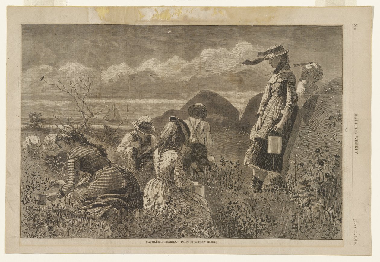 Raccolta di bacche da Winslow Homer