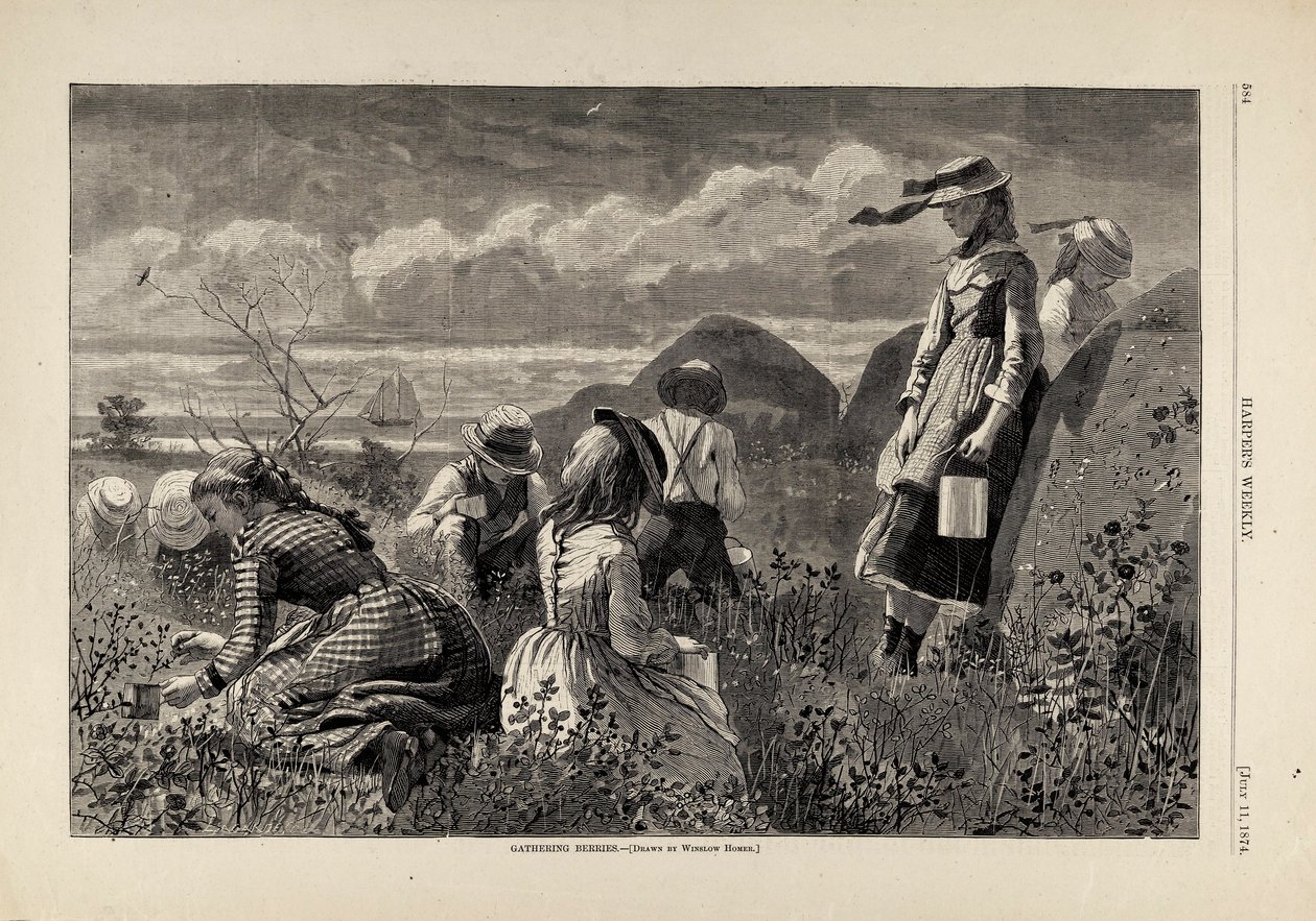 Raccogliere le bacche, da Harper
