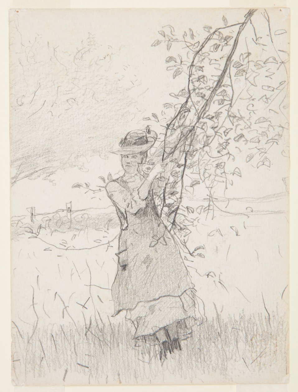 Ragazza che tiene un ramo di melo da Winslow Homer