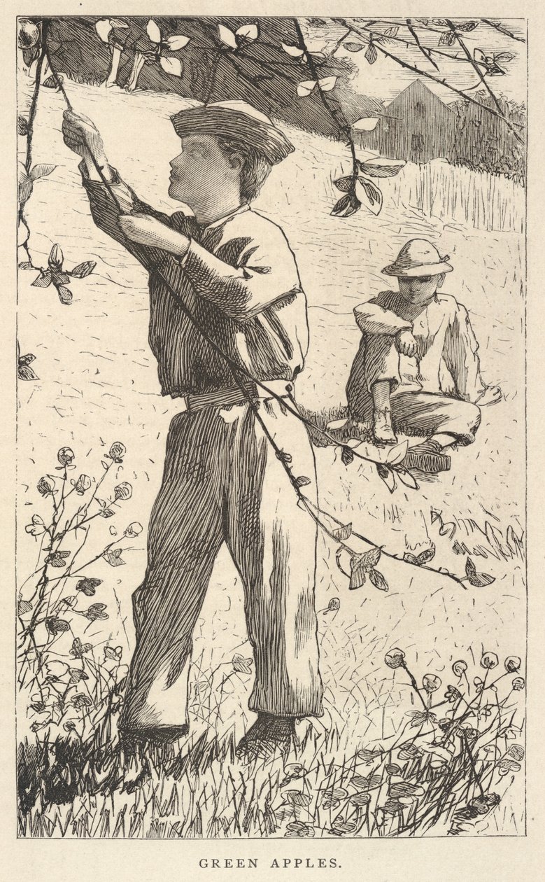 Mele verdi, da I nostri giovani, agosto 1868 da Winslow Homer