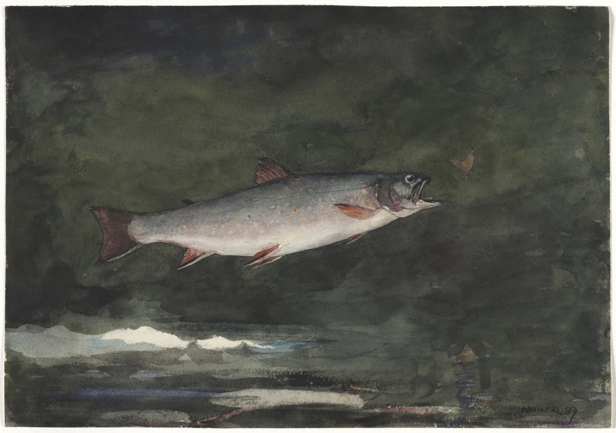 La trota che salta da Winslow Homer
